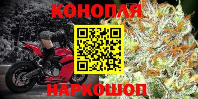 гашик Бузулук